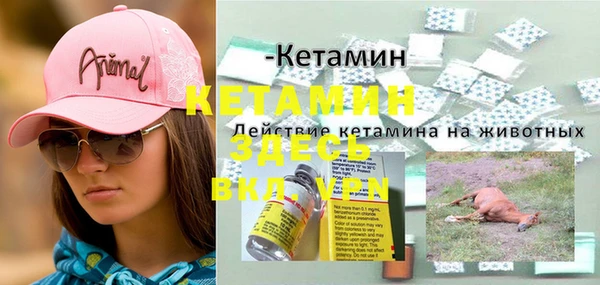 кокс Алексин