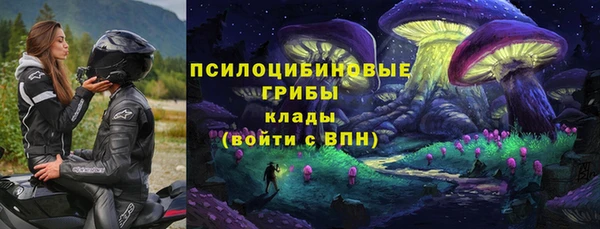 кокс Алексин