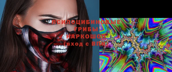 кокс Алексин